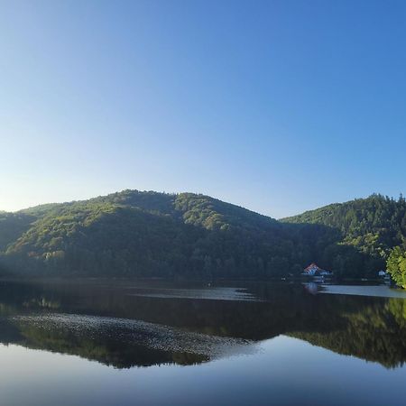Forest Camp Dom W Gorach Sowich Michalkowa Zewnętrze zdjęcie