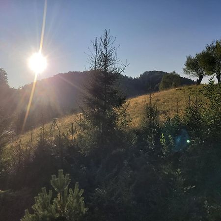 Forest Camp Dom W Gorach Sowich Michalkowa Zewnętrze zdjęcie