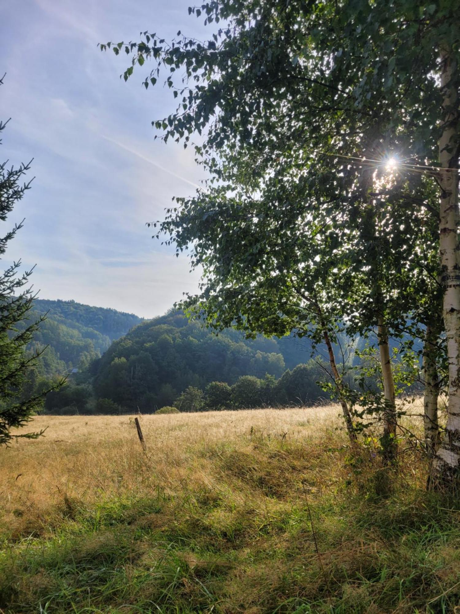 Forest Camp Dom W Gorach Sowich Michalkowa Zewnętrze zdjęcie