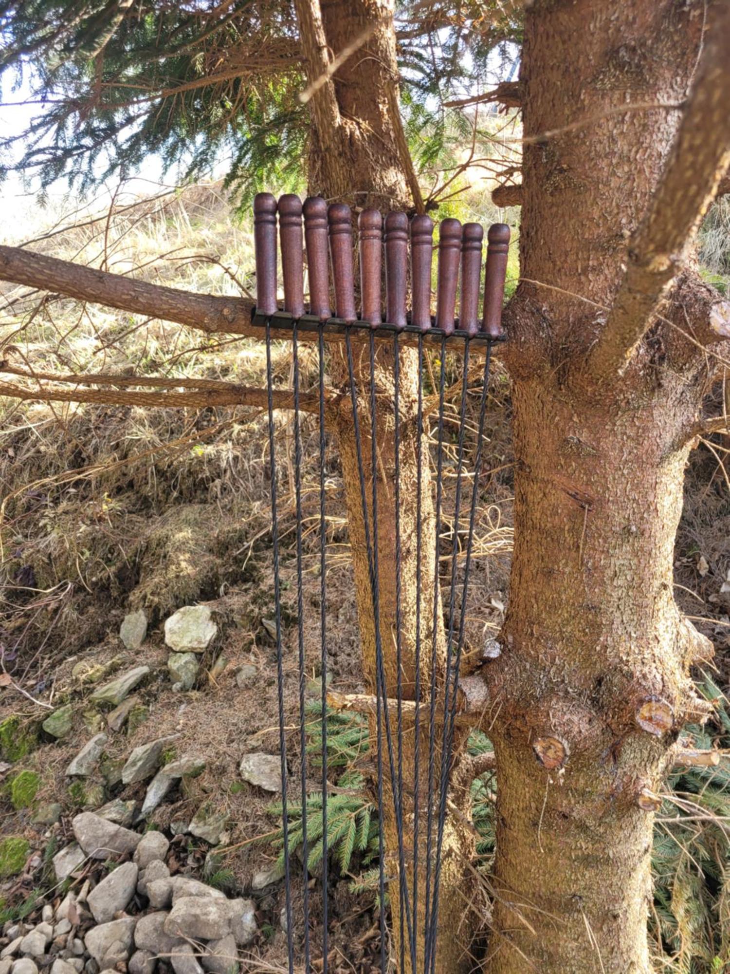 Forest Camp Dom W Gorach Sowich Michalkowa Zewnętrze zdjęcie